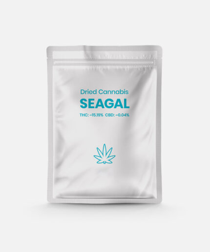Goma Surf Wax | Base Coat